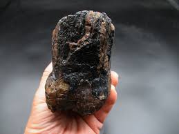 Woolly Mammoth Tooth #22 | Fossils for Sale