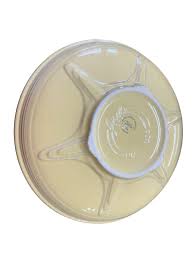 Fiesta Yellow Presentation Bowl Retired NEW – Keeping It Real collectables