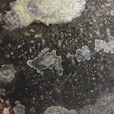 Vintage Oneida heavy Royal Provincial teapot Approx 9 ...