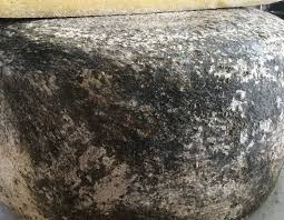 Idyll -- Limited Stock! — Parish Hill Creamery