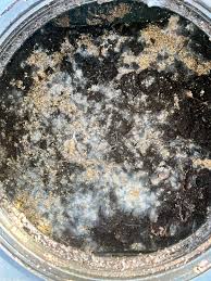 Opened up my compost after returning from Mexico and compost ...