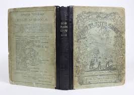 How Plants Grow, A Simple Introduction to Structural Botany ...