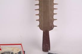 Lot - Group of Taxidermy Fish, Rays, and Fish Bones