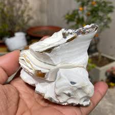 317g Natural Symbol Agate Elephone Head crystal quartz Rough Collection Specimen | eBay