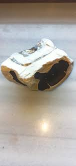 Found this on Beach, seems like it's made out of clay.Does anybody have any idea what it is? : r/whatisthisthing