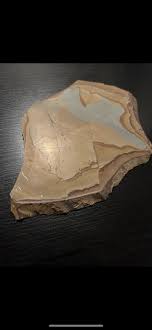 Hi! I was wondering if this was a sort of stone or maybe petrified wood? It was found in a used car that we bought. : r/whatsthisrock