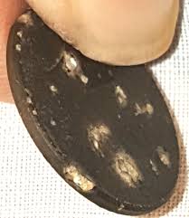 2014 Penny Error? | Coin Talk