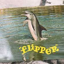 Vintage Postcard Flipper Famous TV Dolphin Seaquarium Miami ...