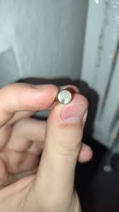 I found this thing while walking in the park, what is it?