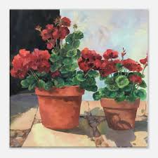 Potted Geraniums Series 1' Floral I 16x16 inch Art Print on Canvas I