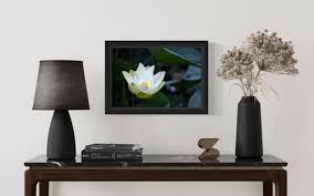 Pure Elegance | Savannah Berlyn