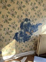 Found wallpaper! : r/centuryhomes