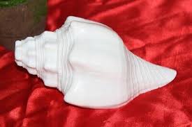 Vintage Dakshinavarti Lord Krishna Puja Worship White Conch ...