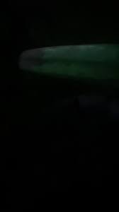 Kayla Seaborn | TikTok