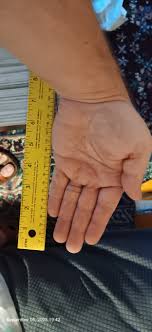 How old is my quaker parrot?