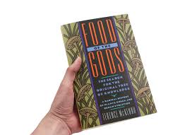 Aragonite Rough (M) Gemstone - Crystal Dreams World