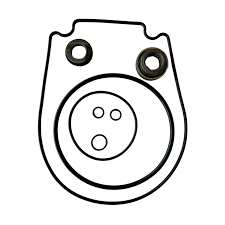 Seal and Gasket Replacement Kit - FP Pumps