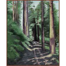 Wendover Redwoods Path