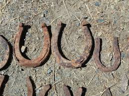22 Vintage Cast Iron Horseshoes Equestrian Western Country Rustic Rural Yard Art | eBay