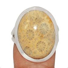 Natural Indonesian Fossil Coral 925 Sterling Silver Ring Jewelry s.9 CR60771 | eBay