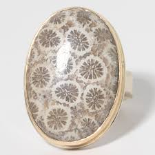 Fossilized Coral Ring by Jamie Joseph - NEWTWIST