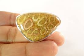 Agatized Fossil Coral Stone 925 Sterling Silver Ring Size 7 1/2 | eBay Australia