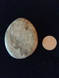Hand polished Petoskey Stone, sm/md size. Semi precious ...