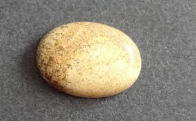 25x18mm Natural Picture Jasper Cabochon, Large Oval, Brown ...