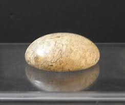 Vintage Polished Stone Paperweight Decor About 3 1/8" Across ...