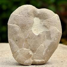 Hemiaster Fossil Echinoid – Cretaceous – Spain – Genuine ...