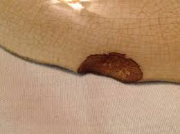 H. A . Plischke Jeweler, South Bethlehem, Pa. Souvenir Plate, Circa 1910 | eBay