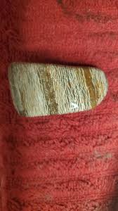 Need identification. Found in Kansas : r/whatsthisrock