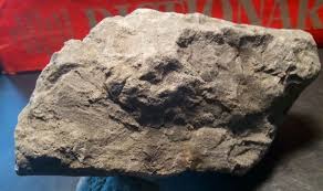 Prehistoric Paleo-American rock art sculpture multi tool. | eBay