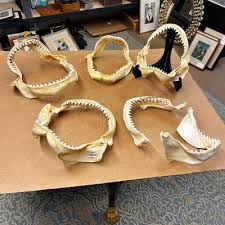 Fine Estate, Inc. in San Rafael, CA | EstateSales.org