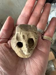 Prof Alice Roberts💙 on X: "I've had a brilliant day ...