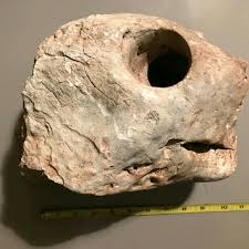 Alex Slayden Facebook, Instagram & Twitter on PeekYou