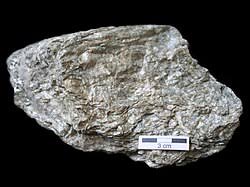 Schist - Wikipedia
