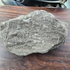 Gravel pit, Indiana : r/fossils