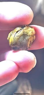 Is this agate Jasper or banded jasper? : r/whatsthisrock