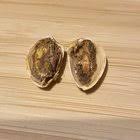 There's a worm in my pistachio. Just lost my appetite. : r/mildlyinfuriating