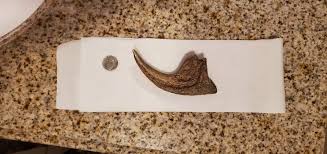 Can anyone help with this?? | TreasureNet.com