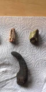 What is this 4 1/2 inch long object found in Warren County KY?