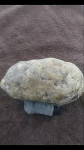 TYRANNOSAURUS EGGS! these are the first and second Trex eggs ...