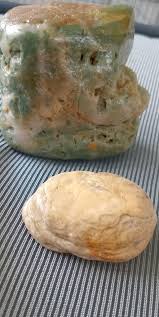 What are these rocks in the Tasman region?