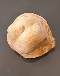 Large Tree Bead Jewelry Lucky Charm Tree Knot Treeling Burl ...