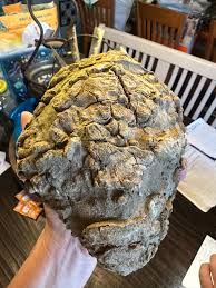 What type of stone is this brown rock?