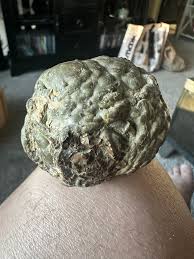 Is this rock a thunder egg?
