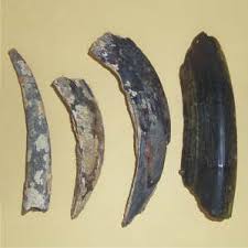 Induction pack 2016.cdr