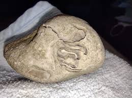 What is this object found in a backyard?