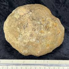 6" Unopened Large Geode Crystal Quartz Uncut Break Your ...